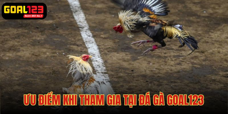 Mọi trận đấu lẫn loại cược hàng đầu đều có ở đá gà Goal123