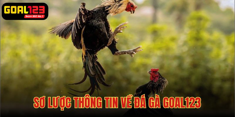 Đá gà Goal123 là mục chơi hot top đầu ở nhà cái